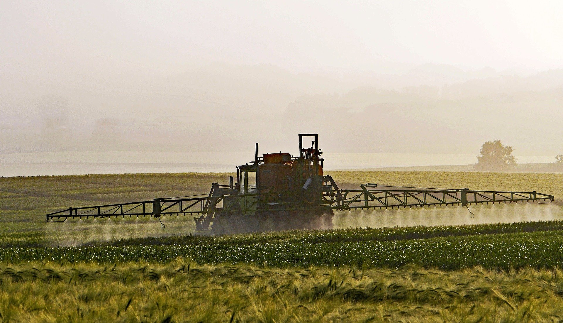 Traktor der Pestizide sprayt